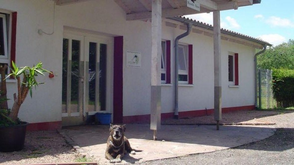 Tierheim Bild vom Tierheim, es ist ein Hund zu sehen