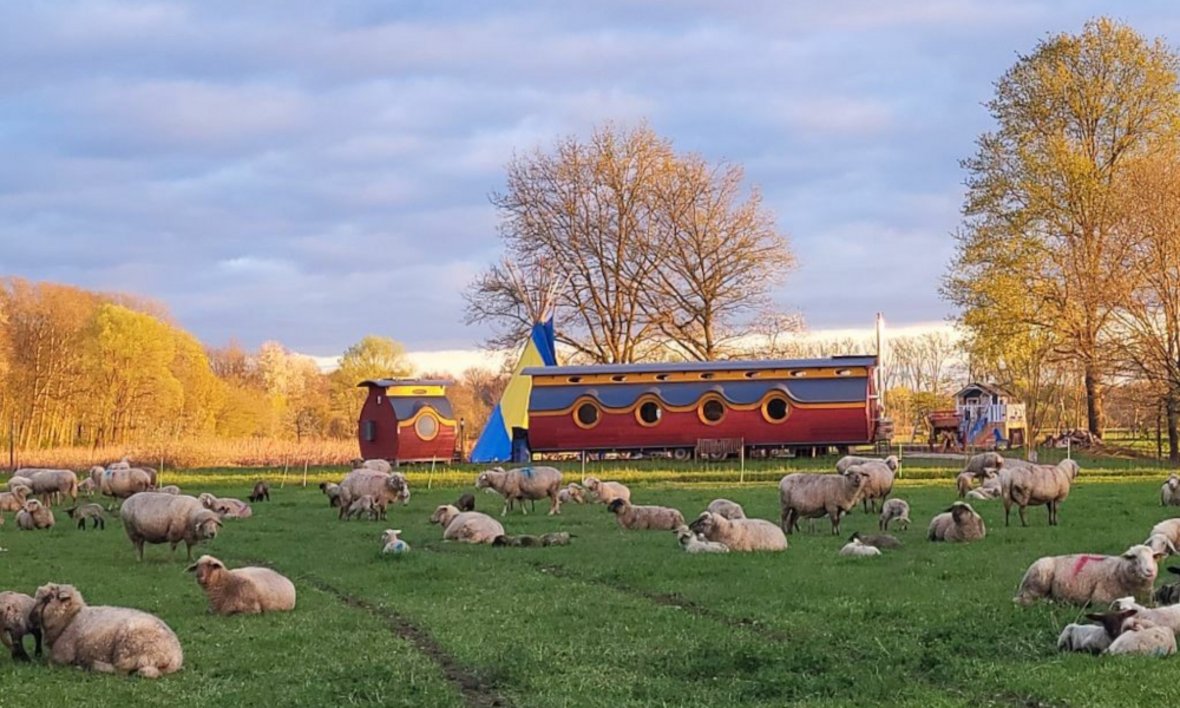Naturkindergarten Feldmäuse Bild vom Naturkindergarten Feldmäuse