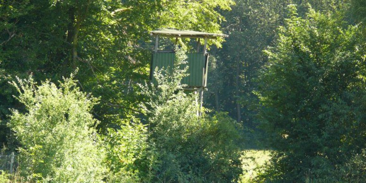 Jägerstuhl Bild vom Jägerstuhl