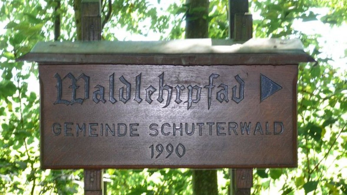 Schild Waldlehrpfad Schild Waldlehrpfad