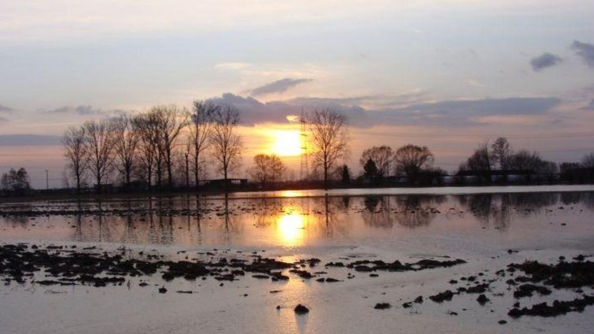 "Land unter" Gemarkungen der Stadt Kehl mit den Stadtteilen Marlen, Goldscheuer, Kittersburg und Hohnhurst, der Gemeinde Willstätt mit den Ortsteilen Eckartsweier und Hesselhurst, den Gemeinden Friesenheim, Hohberg, Meißenheim, Neuried und Schutterwald