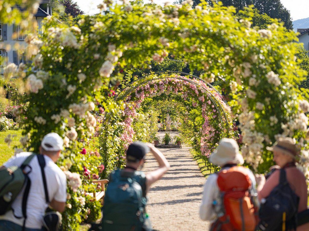 Baden Baden im Rosengarten